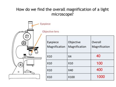 how to calculate total magnification of a microscope